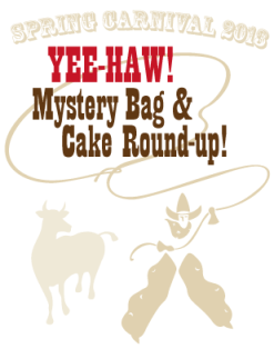 cowboy_mysterybag_cake_lasso